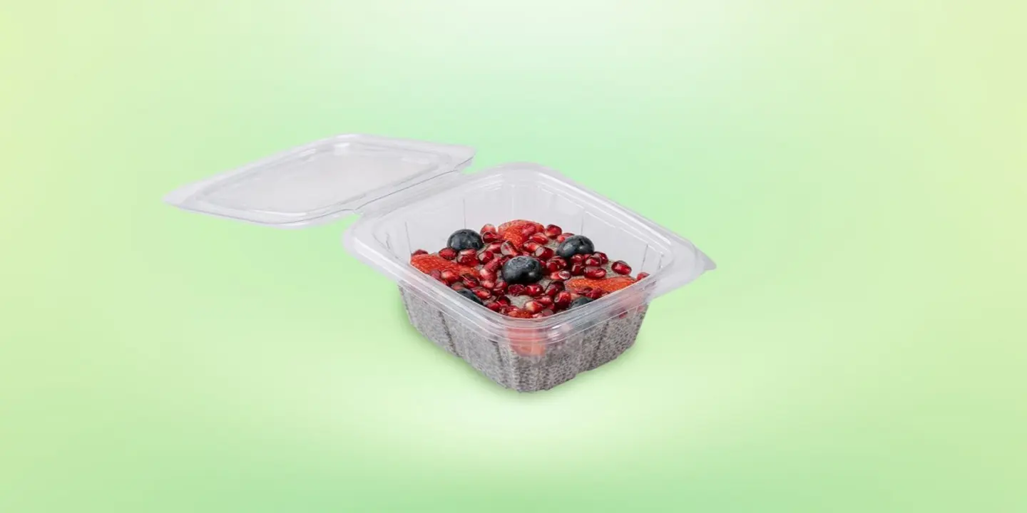 Vegan & Co cover