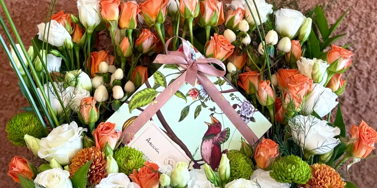 نورا قاردن cover