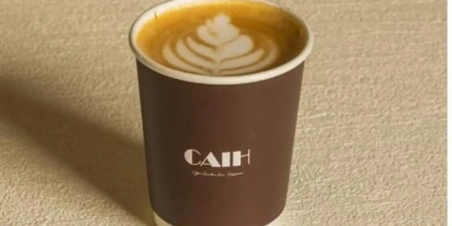 CAIH cover