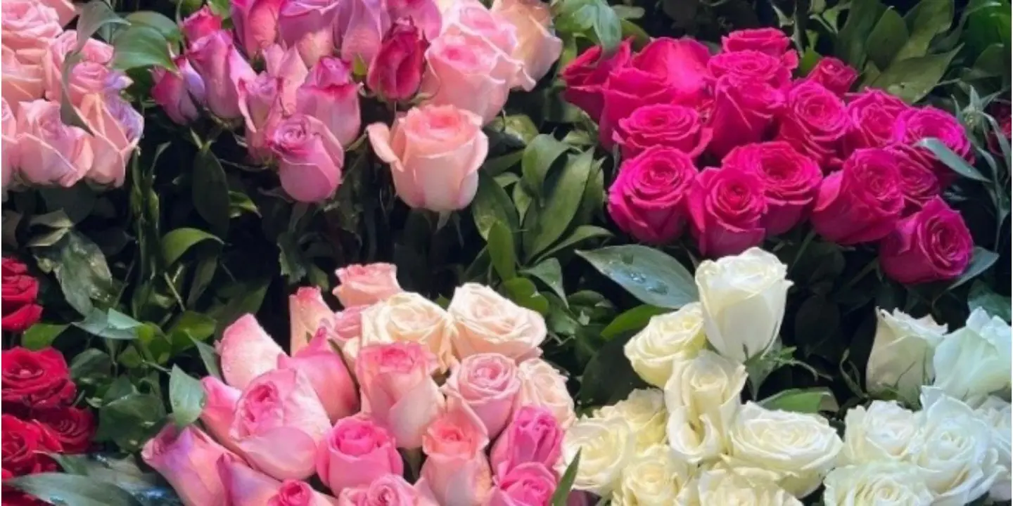 ورد و حلا cover