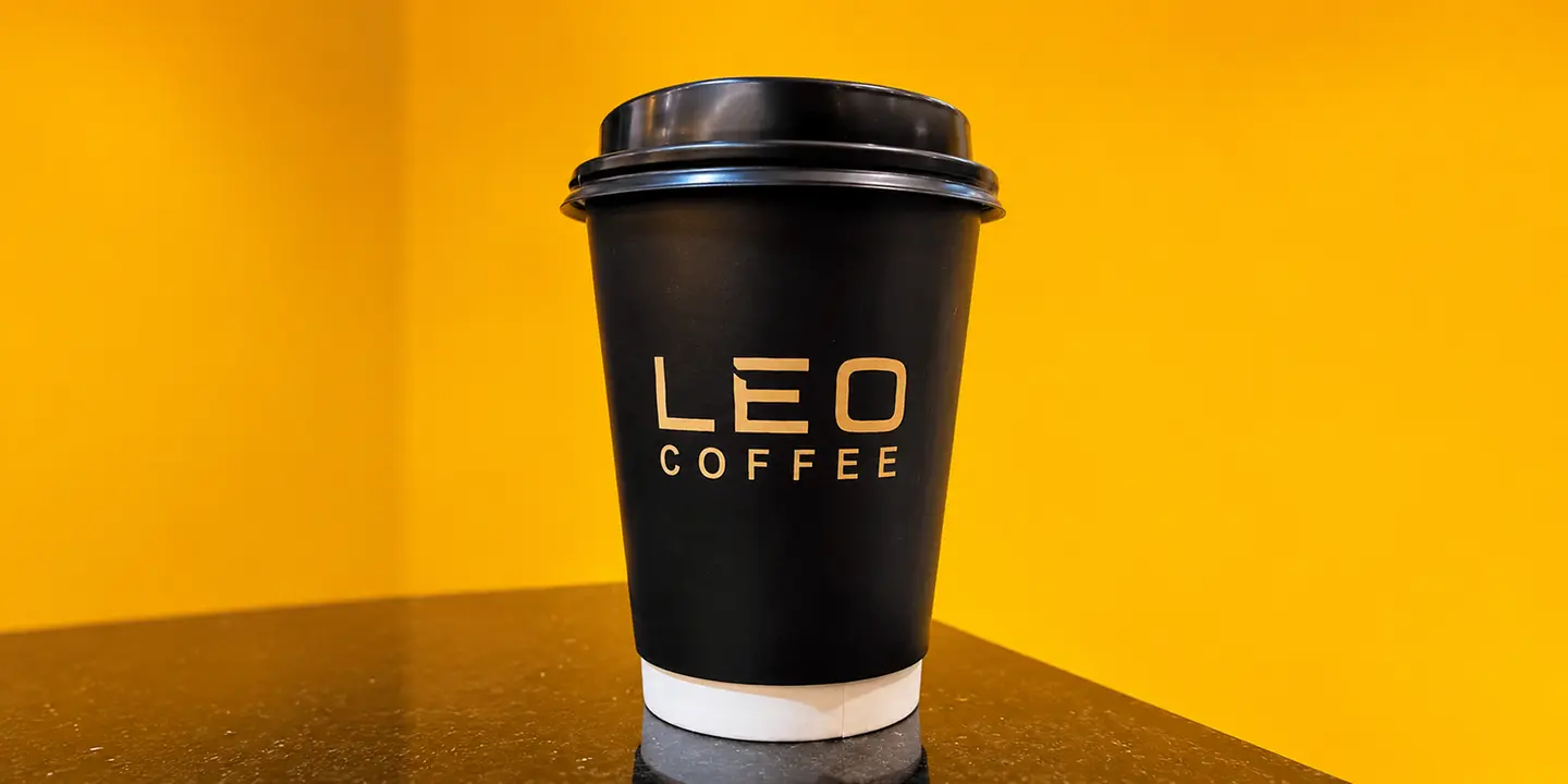 Leo cover
