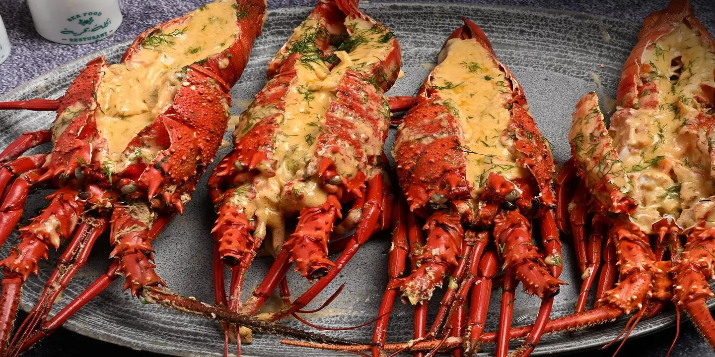 اكلة بحرية cover