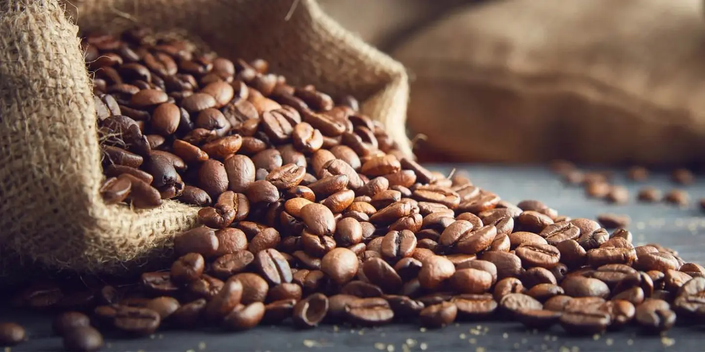 The Coffee Factory cover