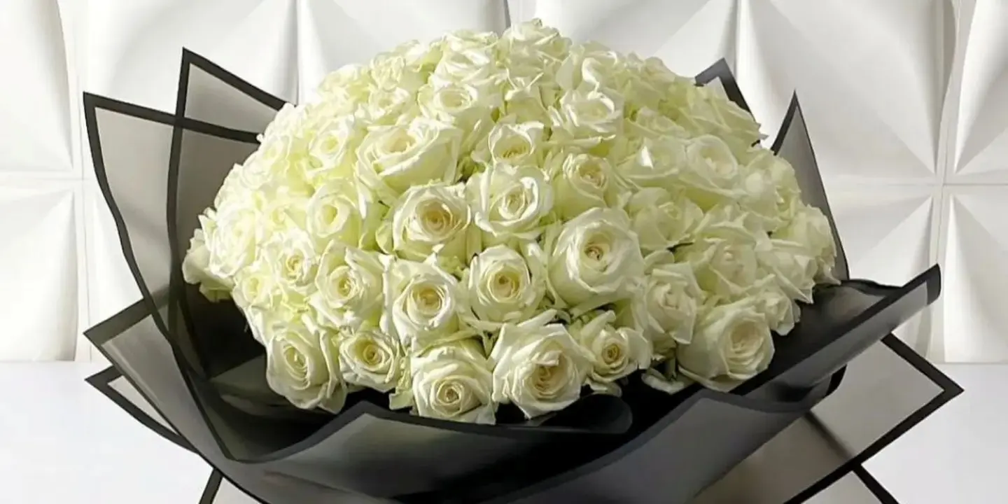 بلان للزهور cover