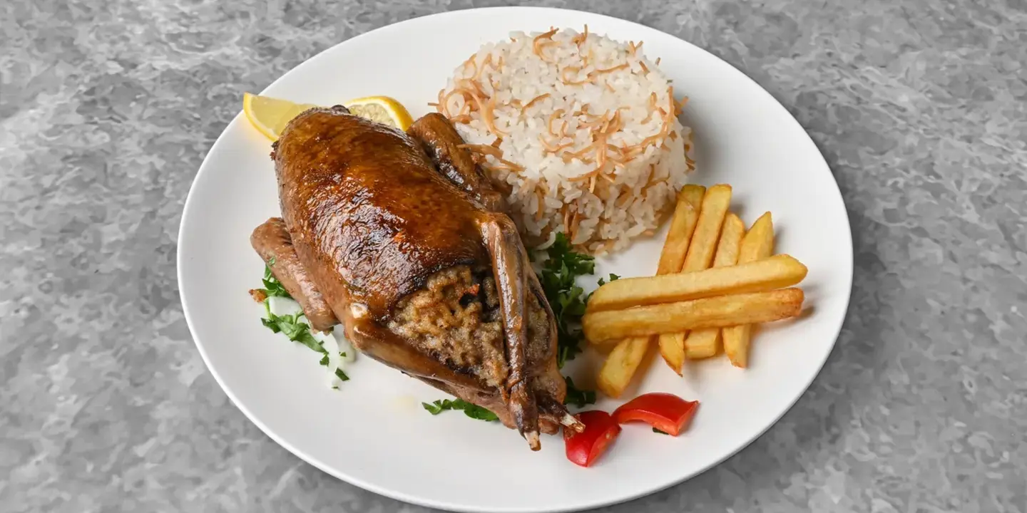 واحة عبود cover