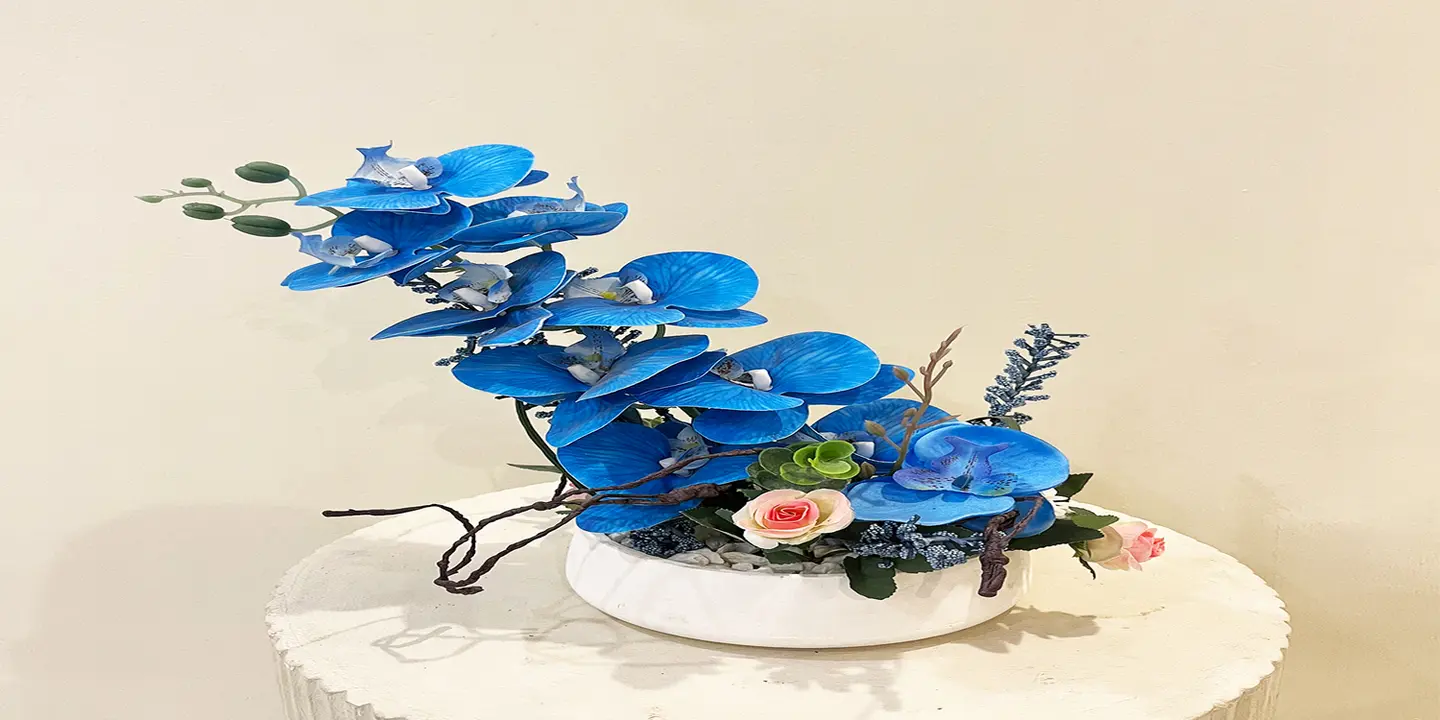 أجمل زهرة cover