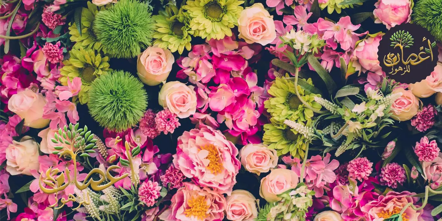 Branches Flowers cover