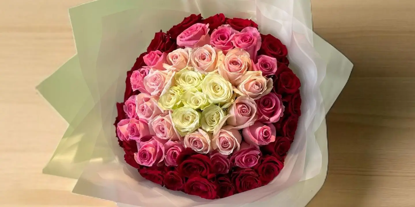 نيو جوري cover