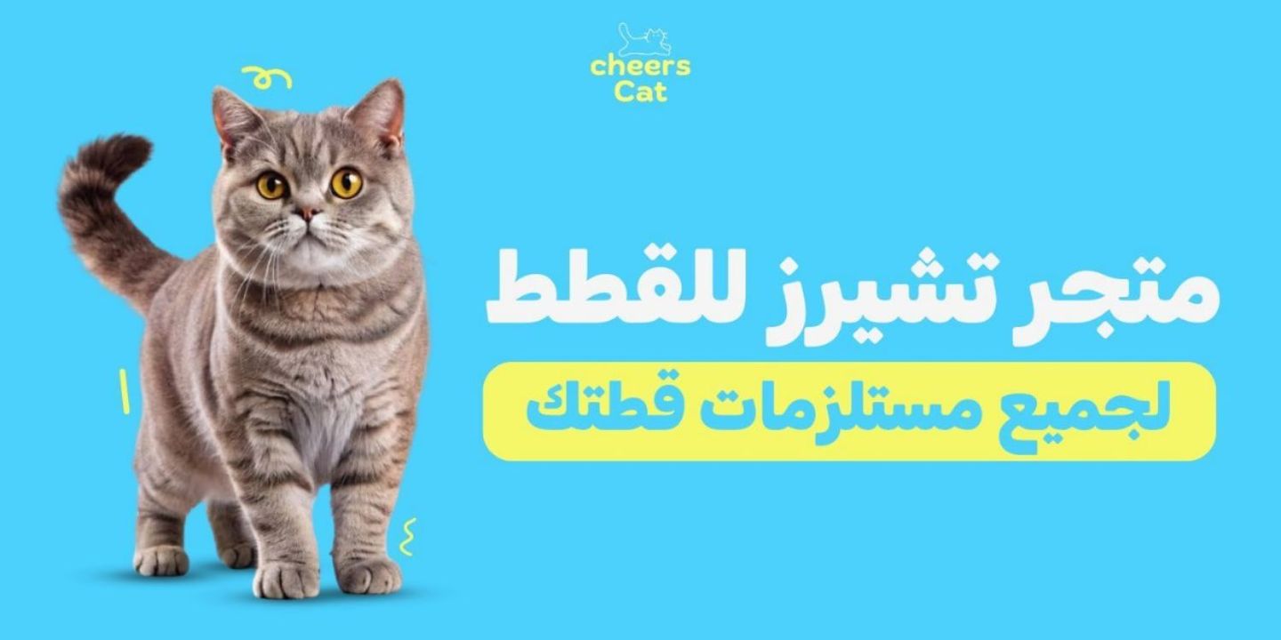 تشيرز كات cover