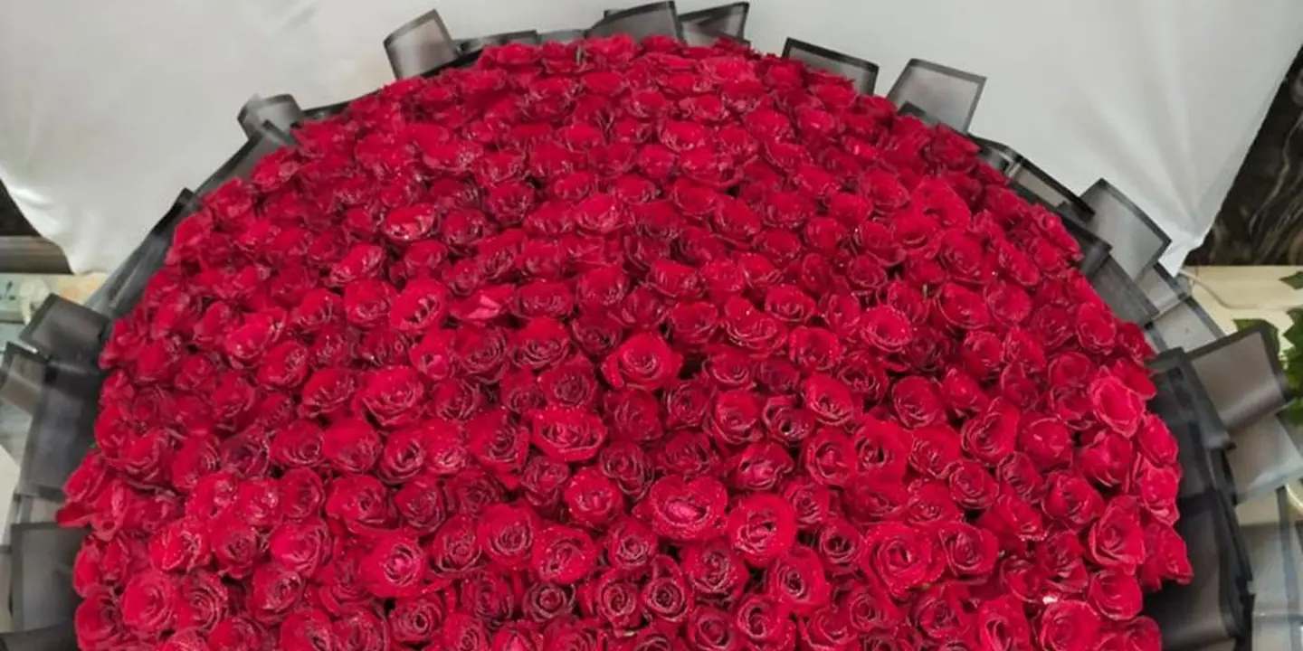 Dream Alkhaleej cover