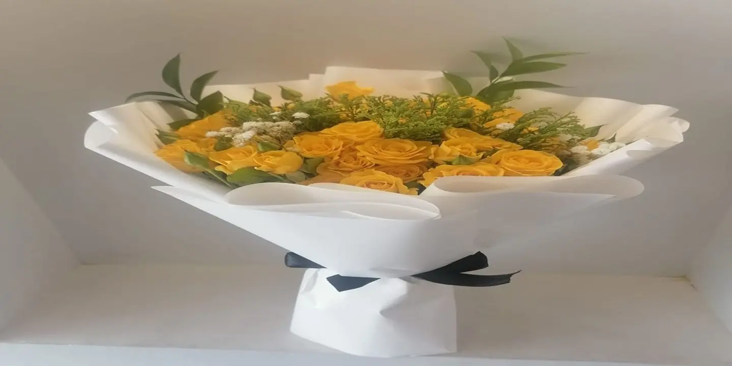 ورود ملاذ cover