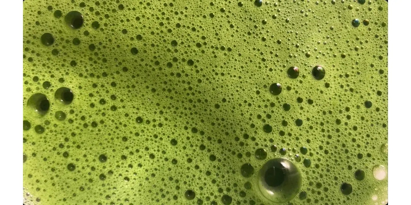 Matcha Mellow cover