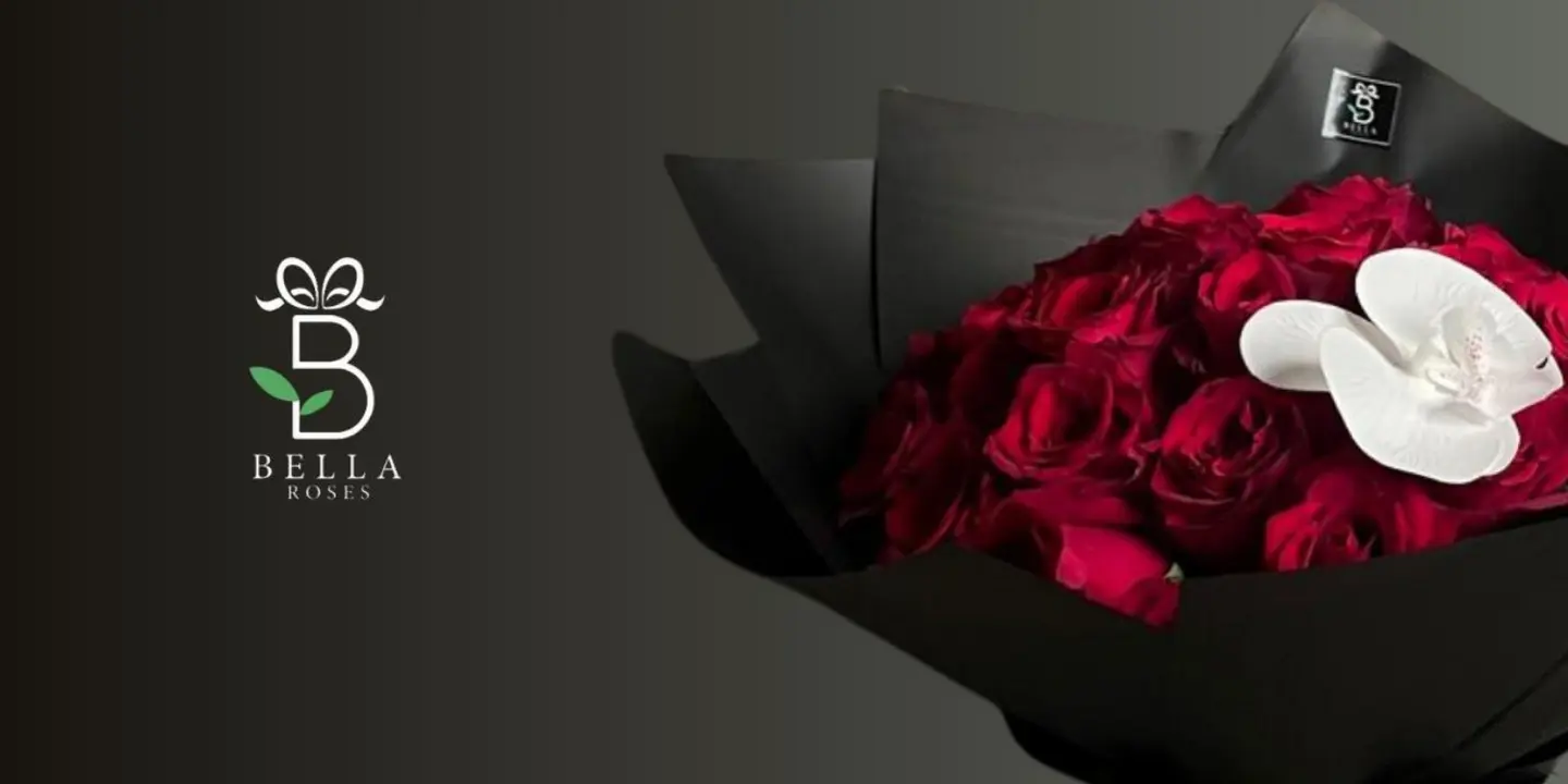 بيلا روز cover