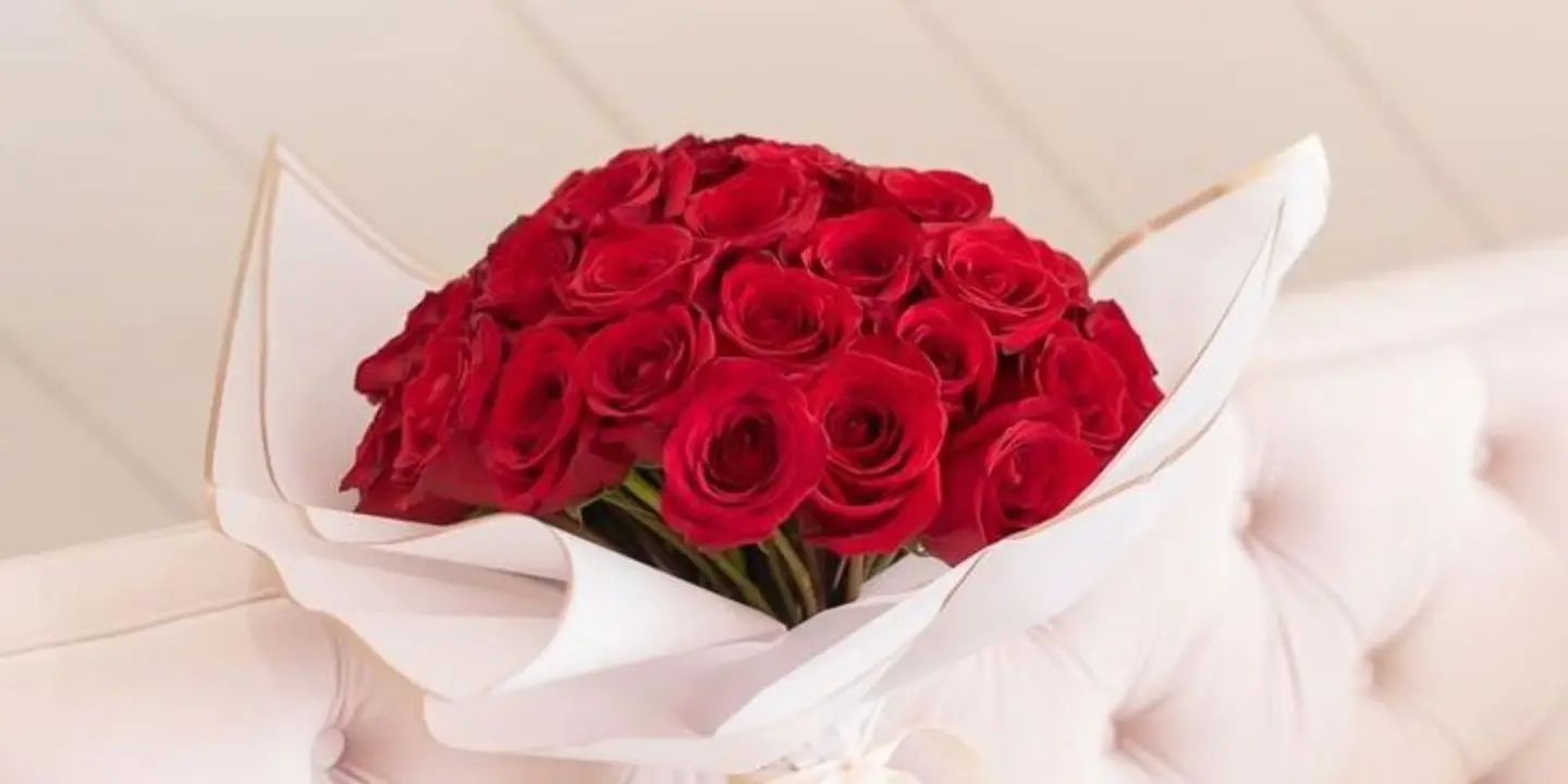 Rose Light for Gift cover