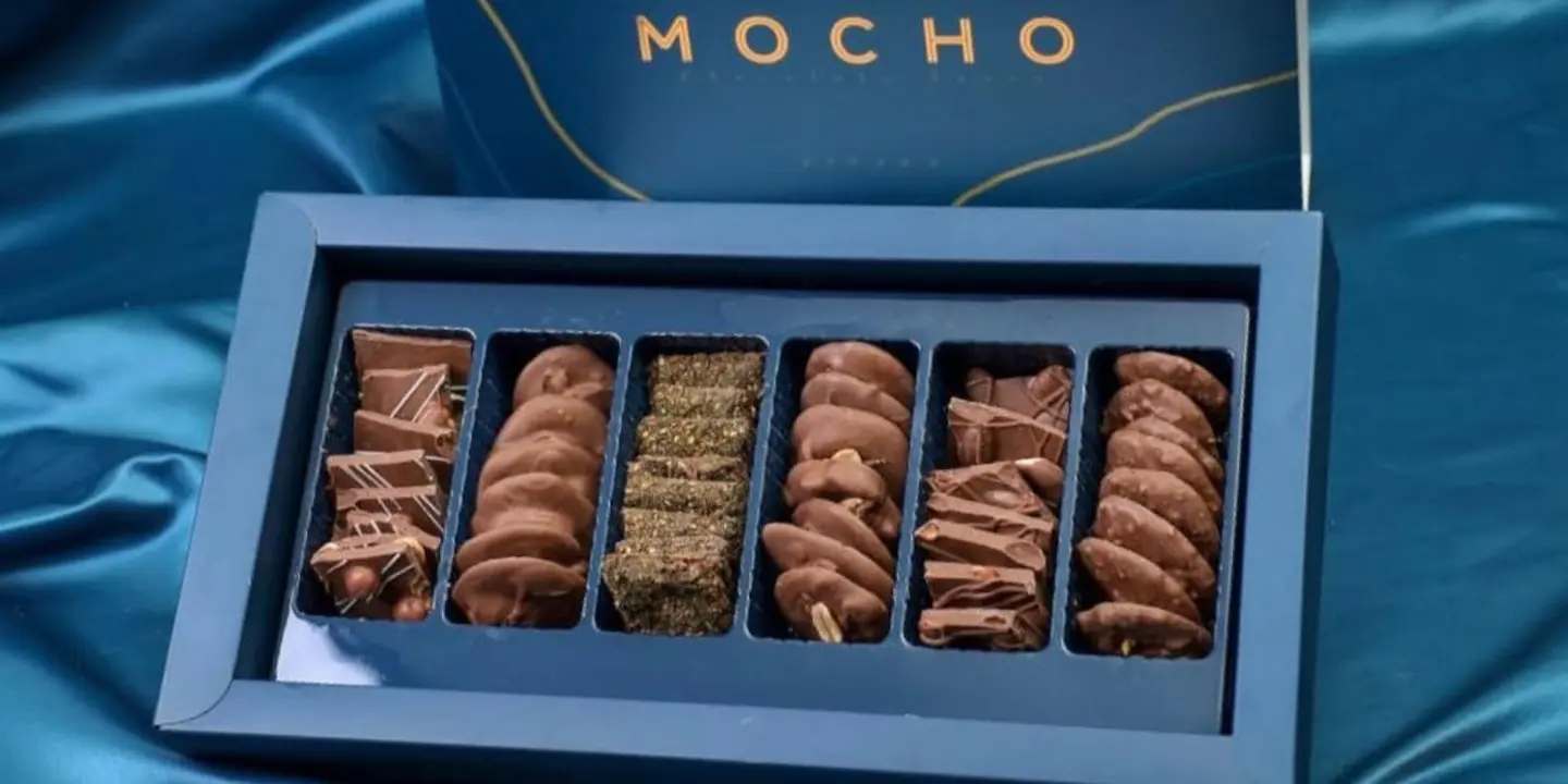 Mocho cover