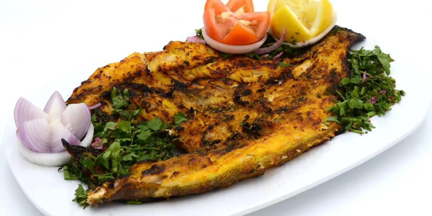 شبكة الصياد cover