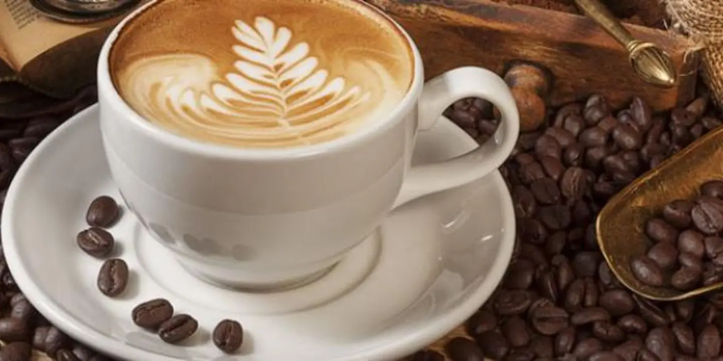 منزل البن cover