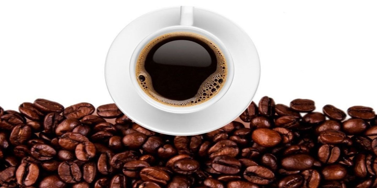 Otah Cafe cover