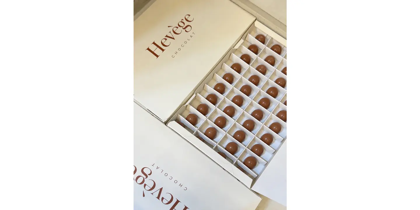 Hevege cover