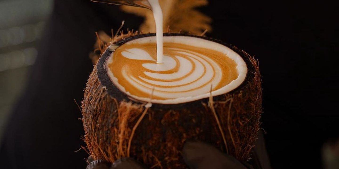 The Palm Coffee Bar cover