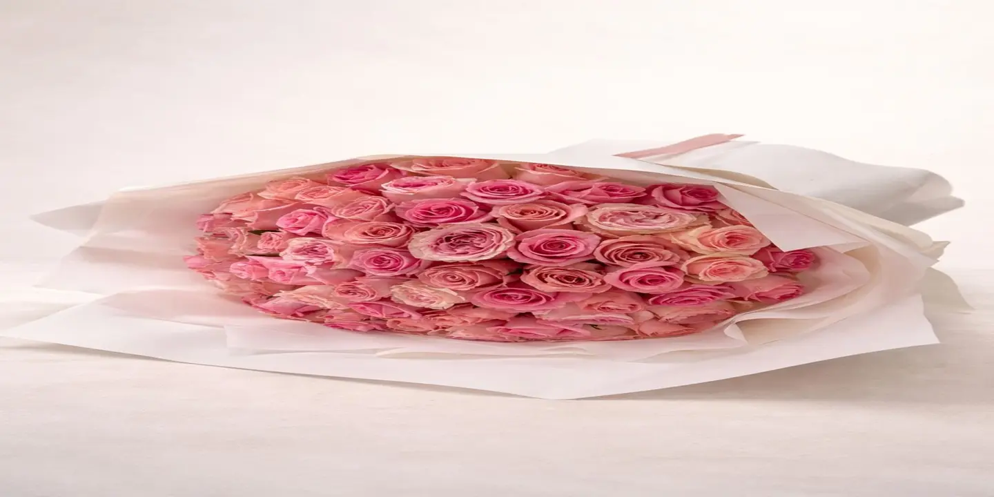 ارتستك cover