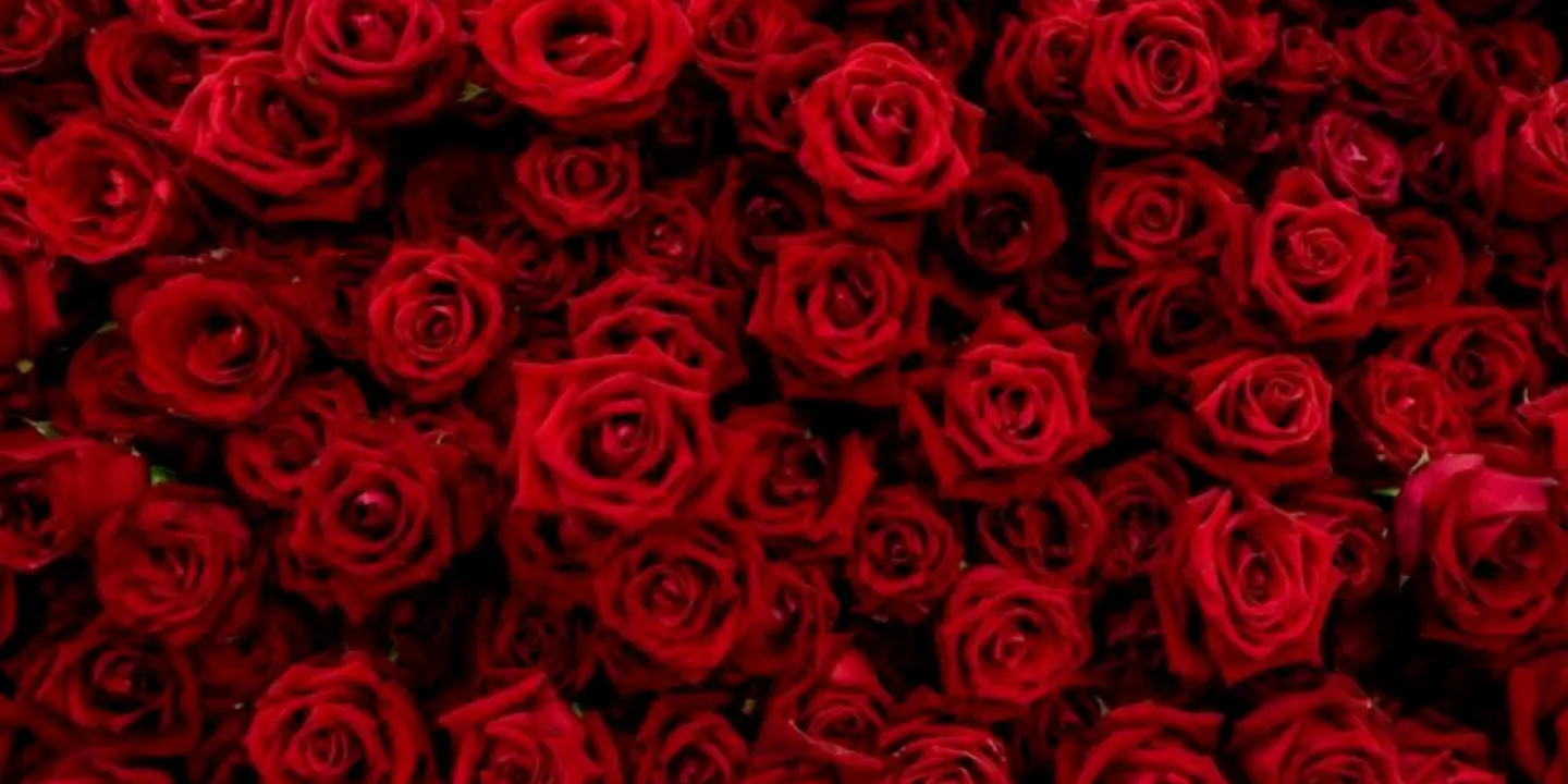 Beautiful Gift cover