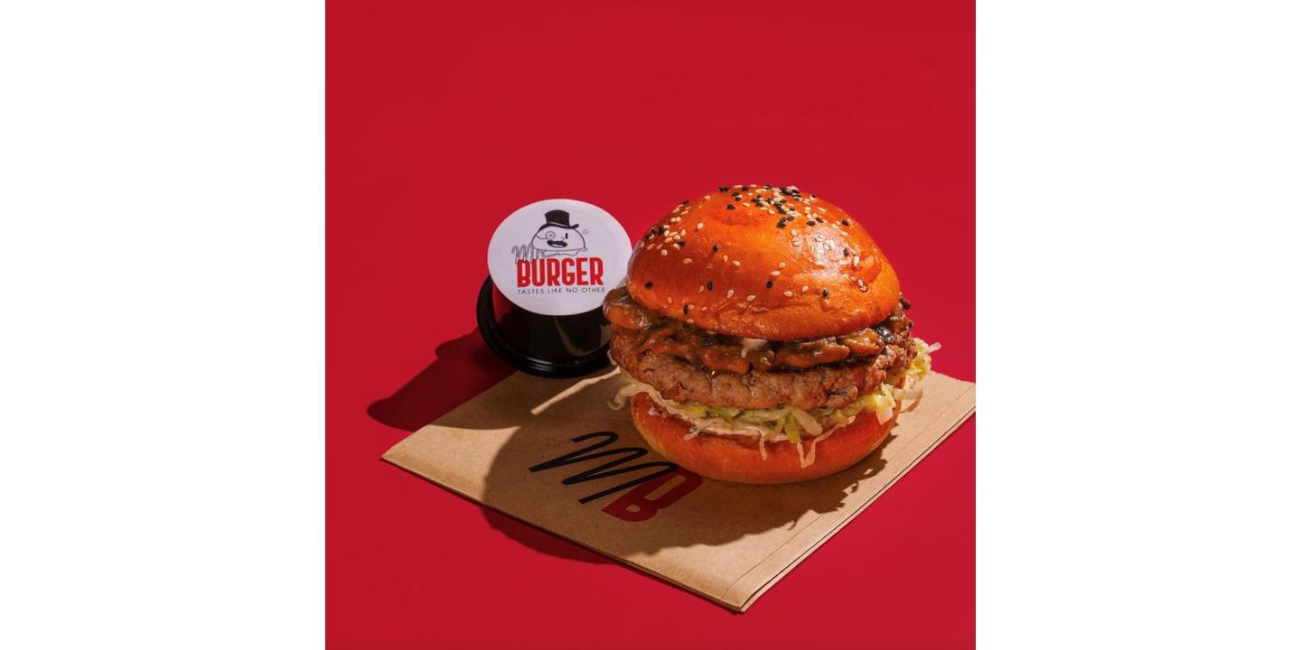 Mr. Burger cover