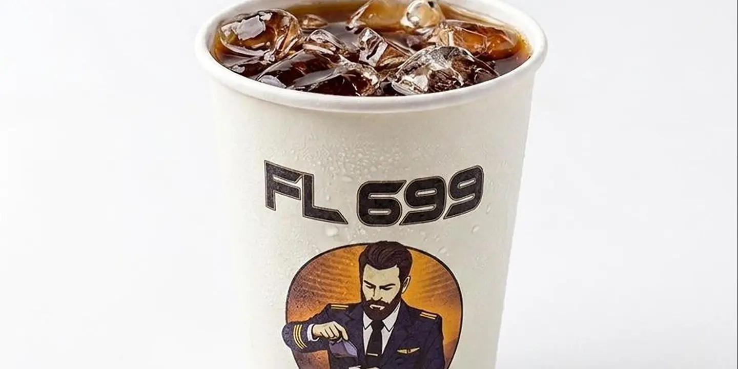 FL 699 cover