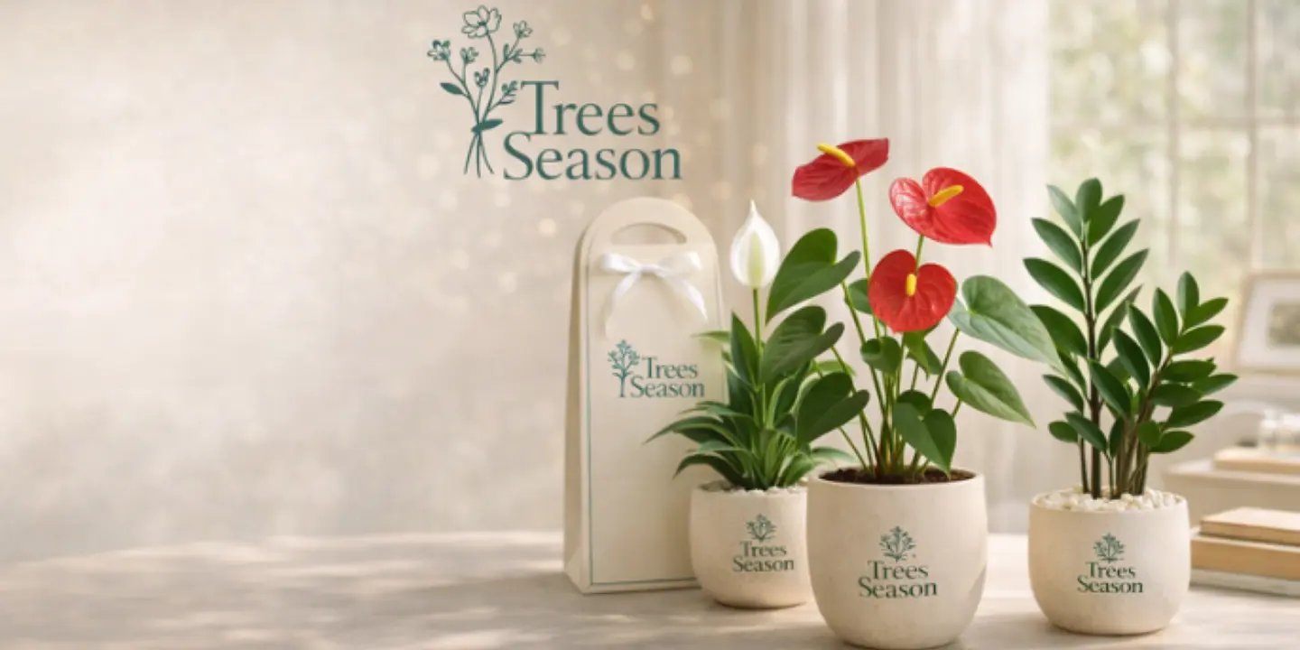 Trees Season cover