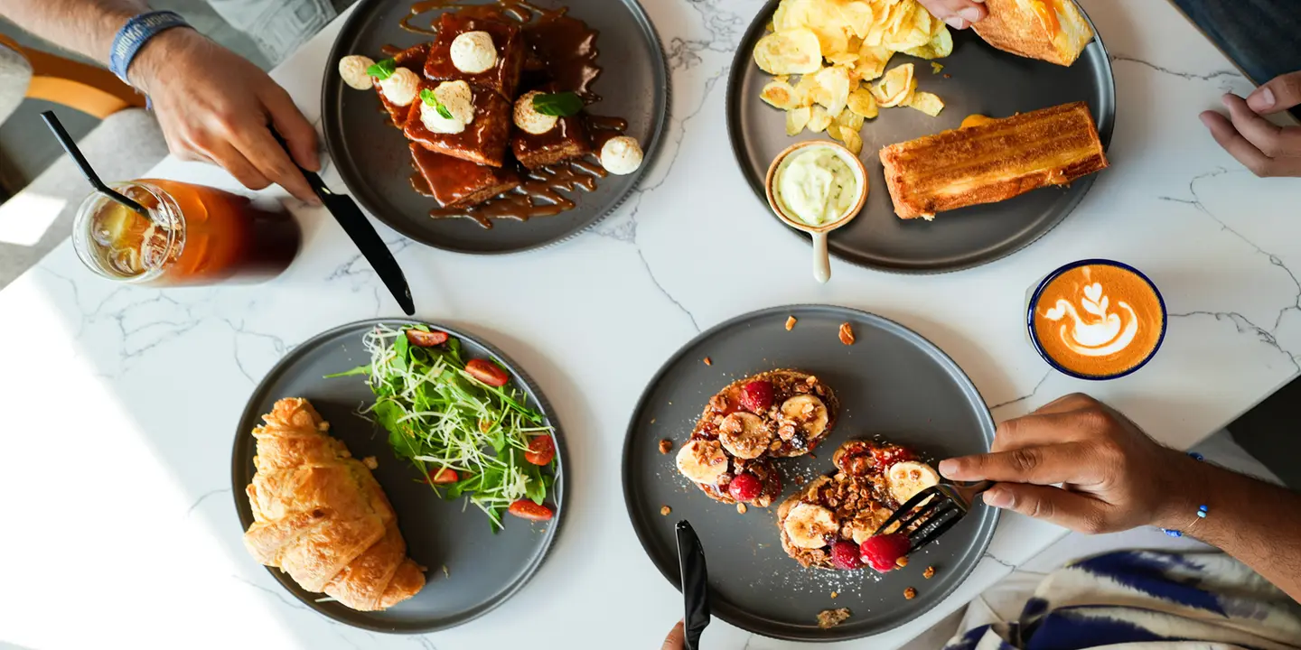 انسيستري cover