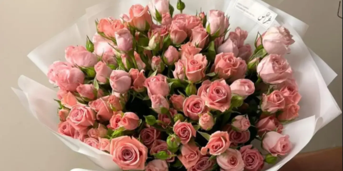 غراس للزهور cover