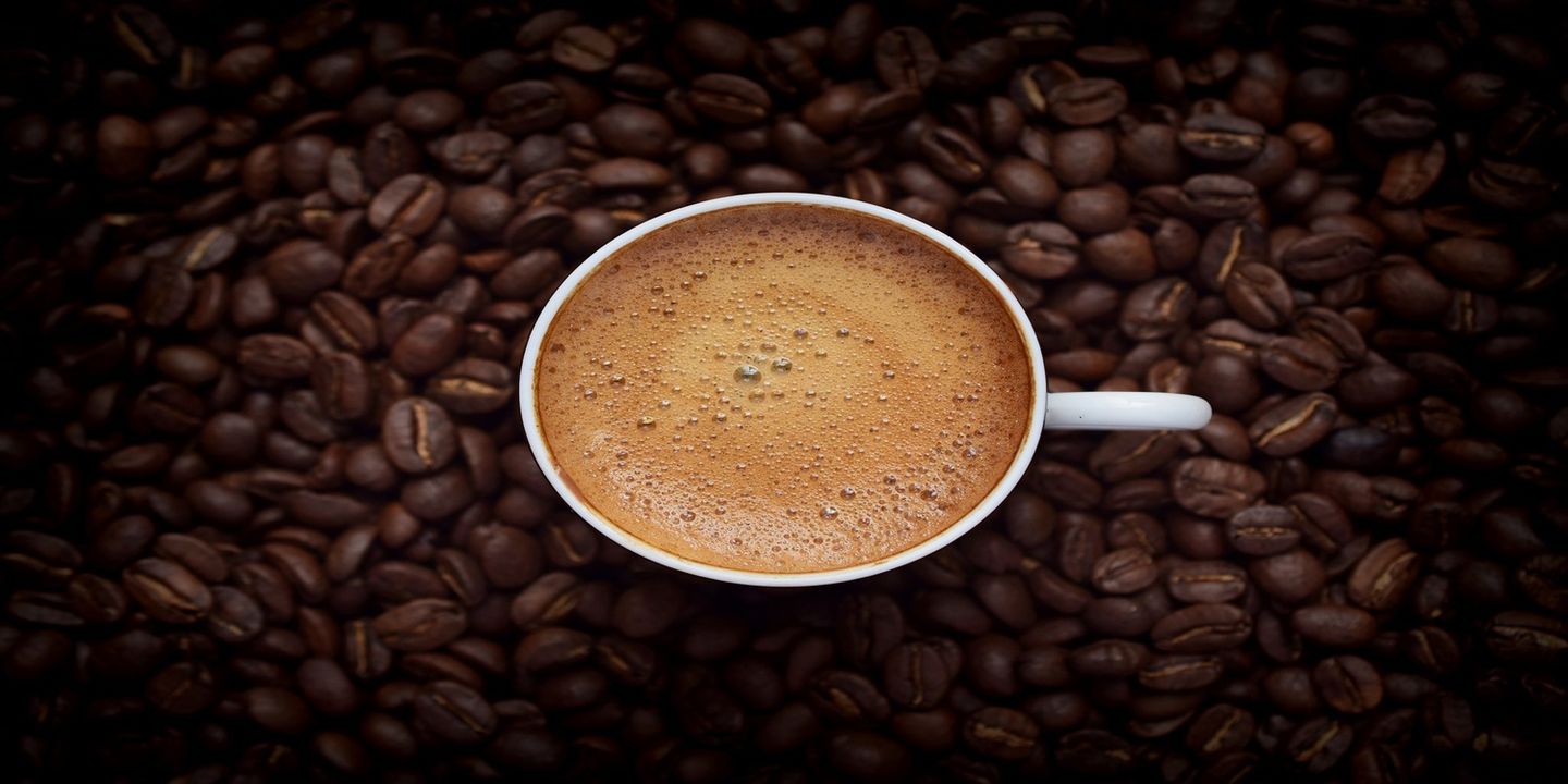 Sal Coffee cover