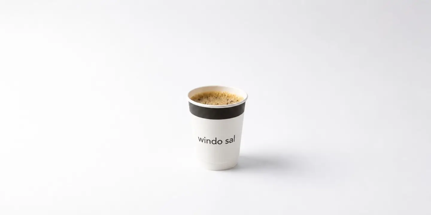 Windo Sal cover