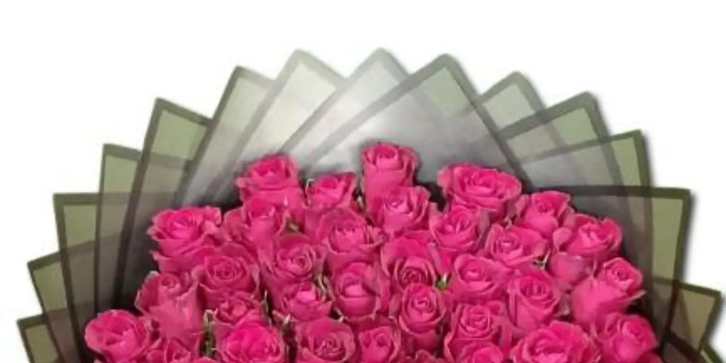 أريج وكيك cover