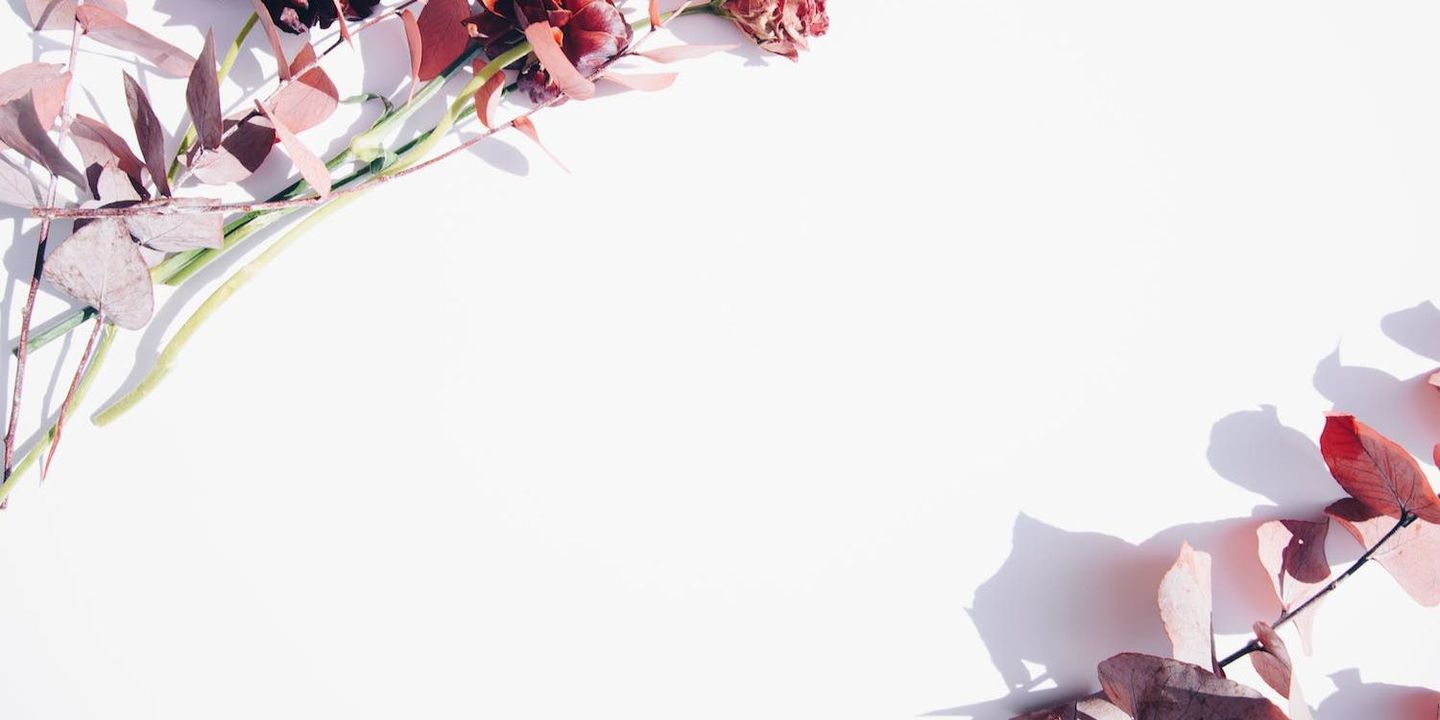 فلاورفل cover