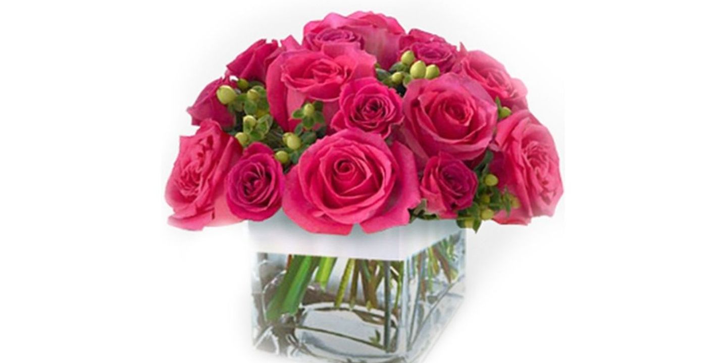 فانسي روز cover