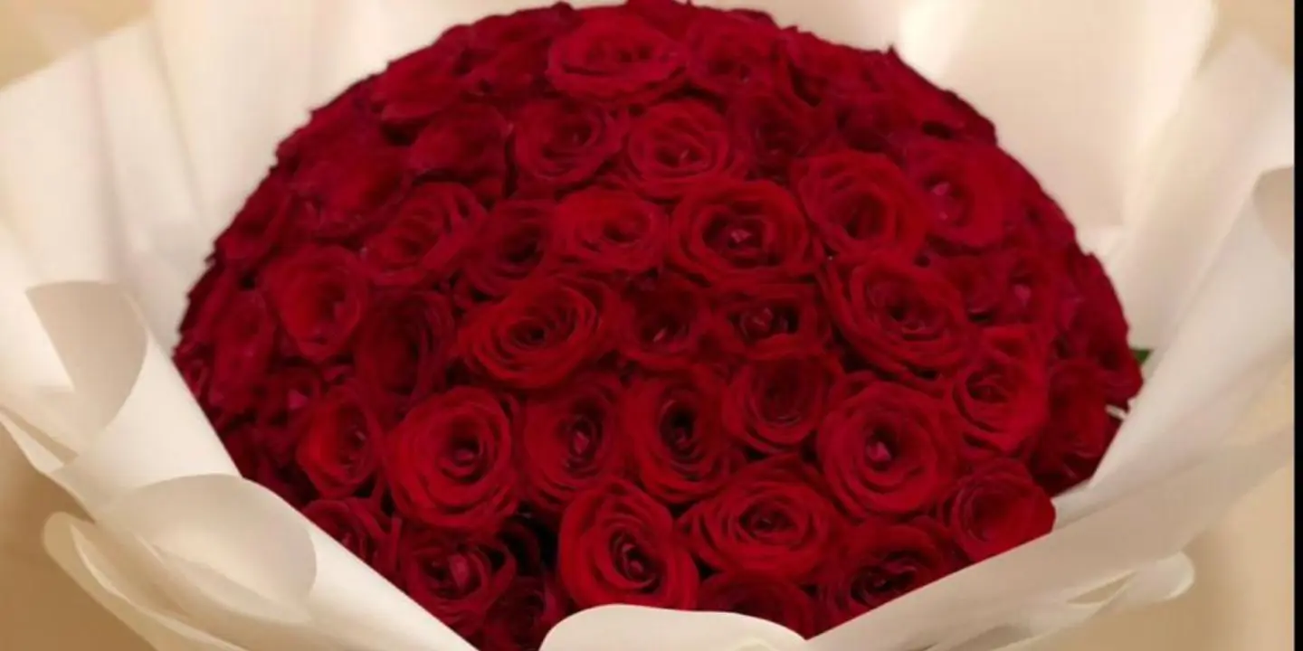 بارتيتو cover