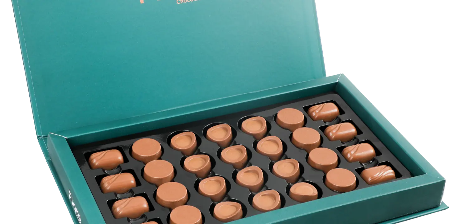 فلادولشي cover