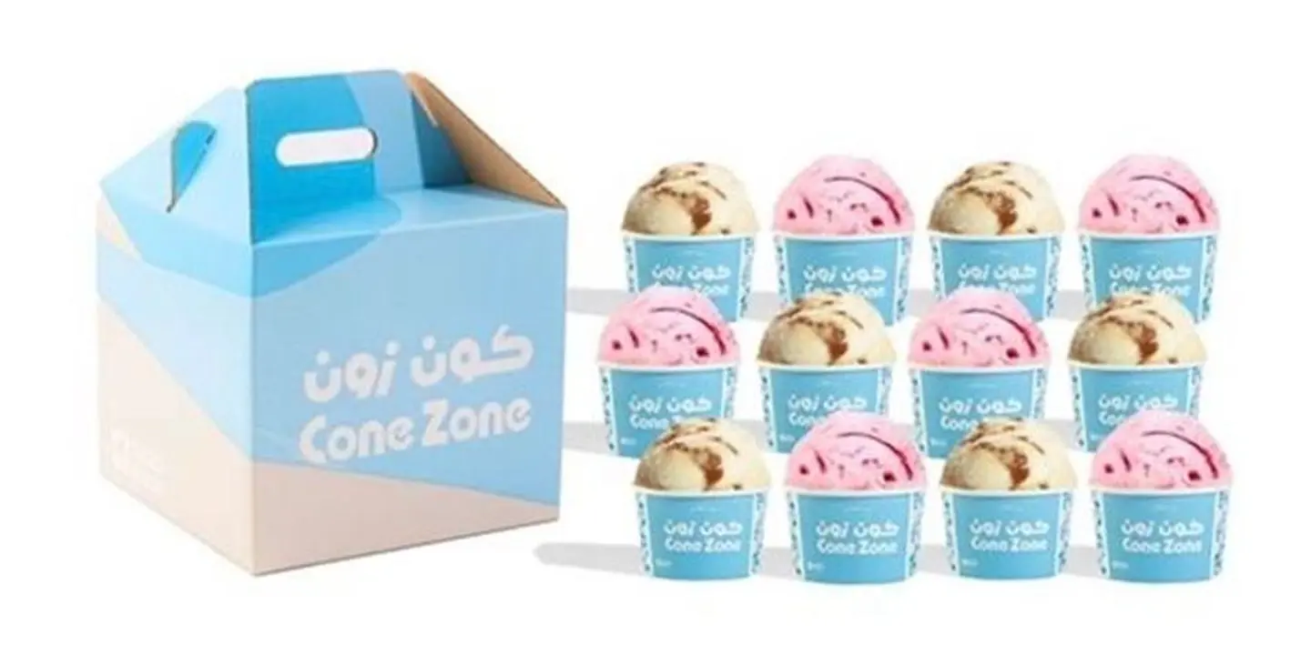 Cone Zone cover