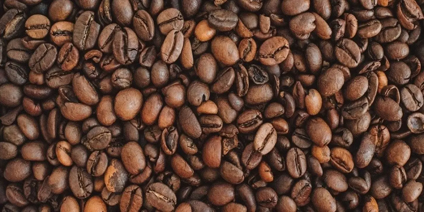 براون دوز cover
