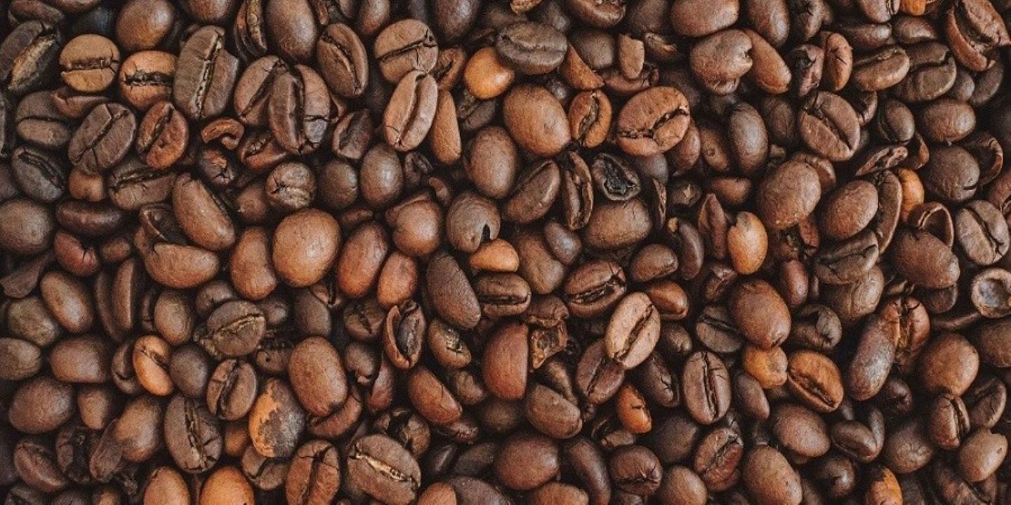 براون دوز cover