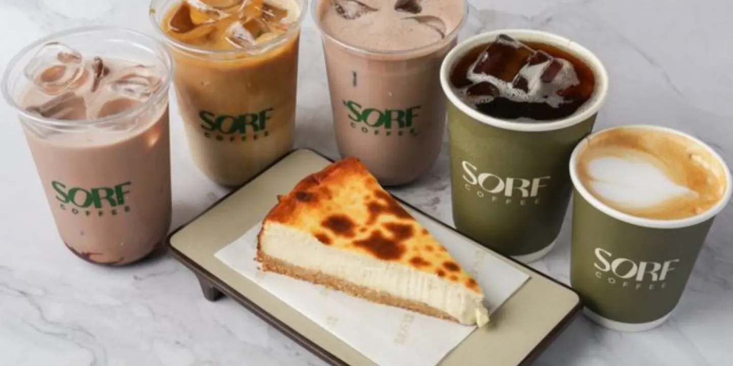 سورف cover