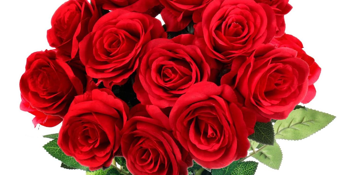 الونا cover