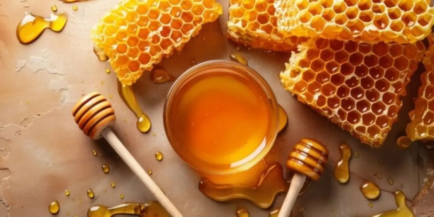 Honey Alshuhail cover