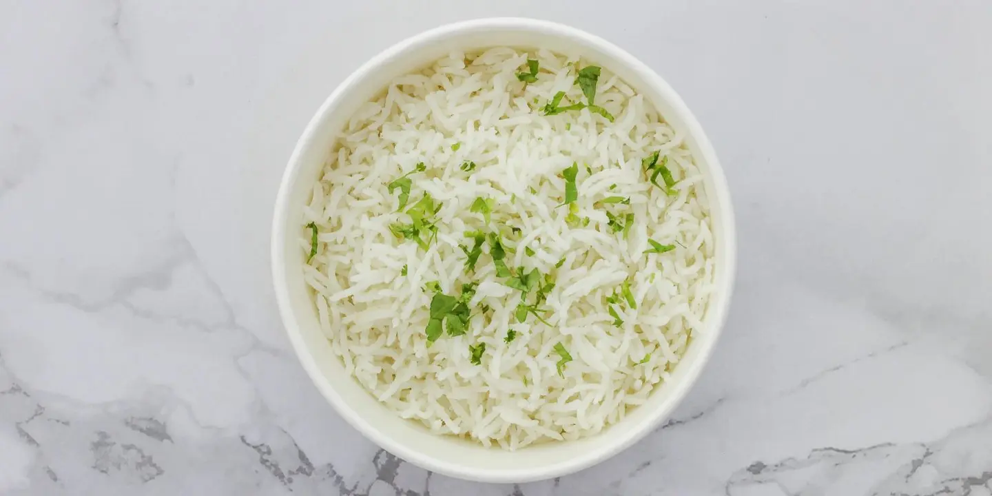 أسماك البحر cover