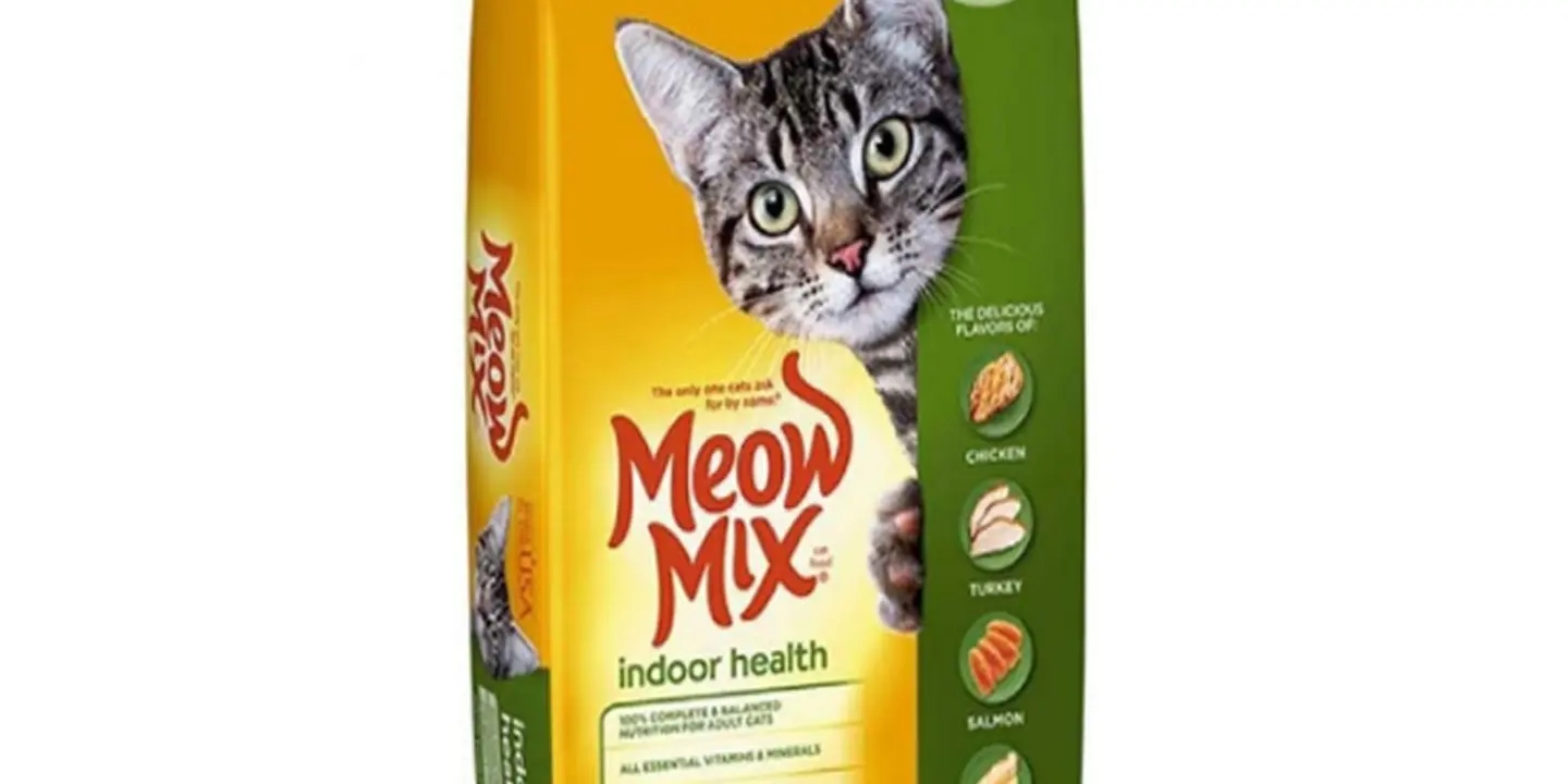 Cute pets cover