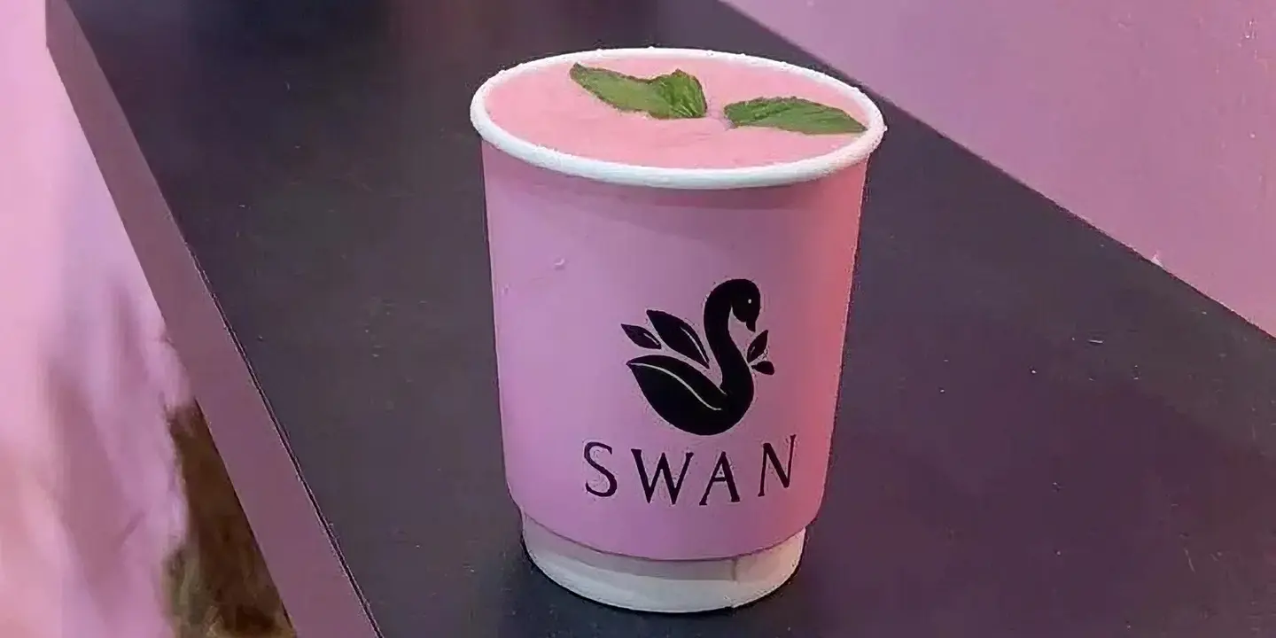 Swan cover