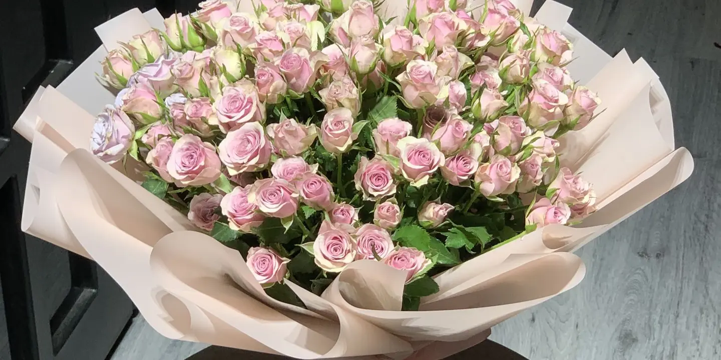 حديقة غيساء cover