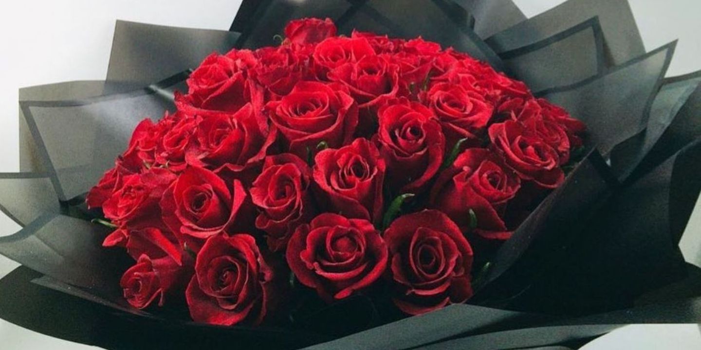 ازهار حبيبه cover