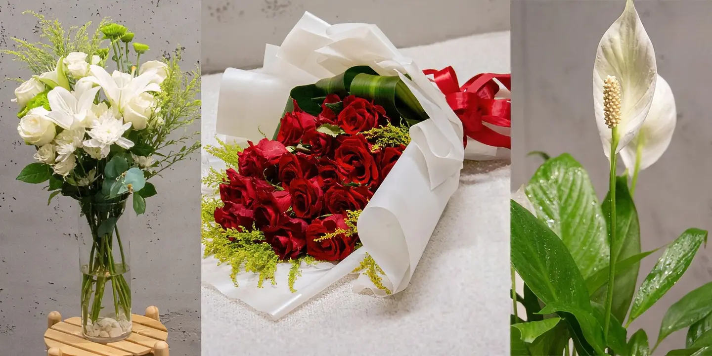 الديكور الحي cover